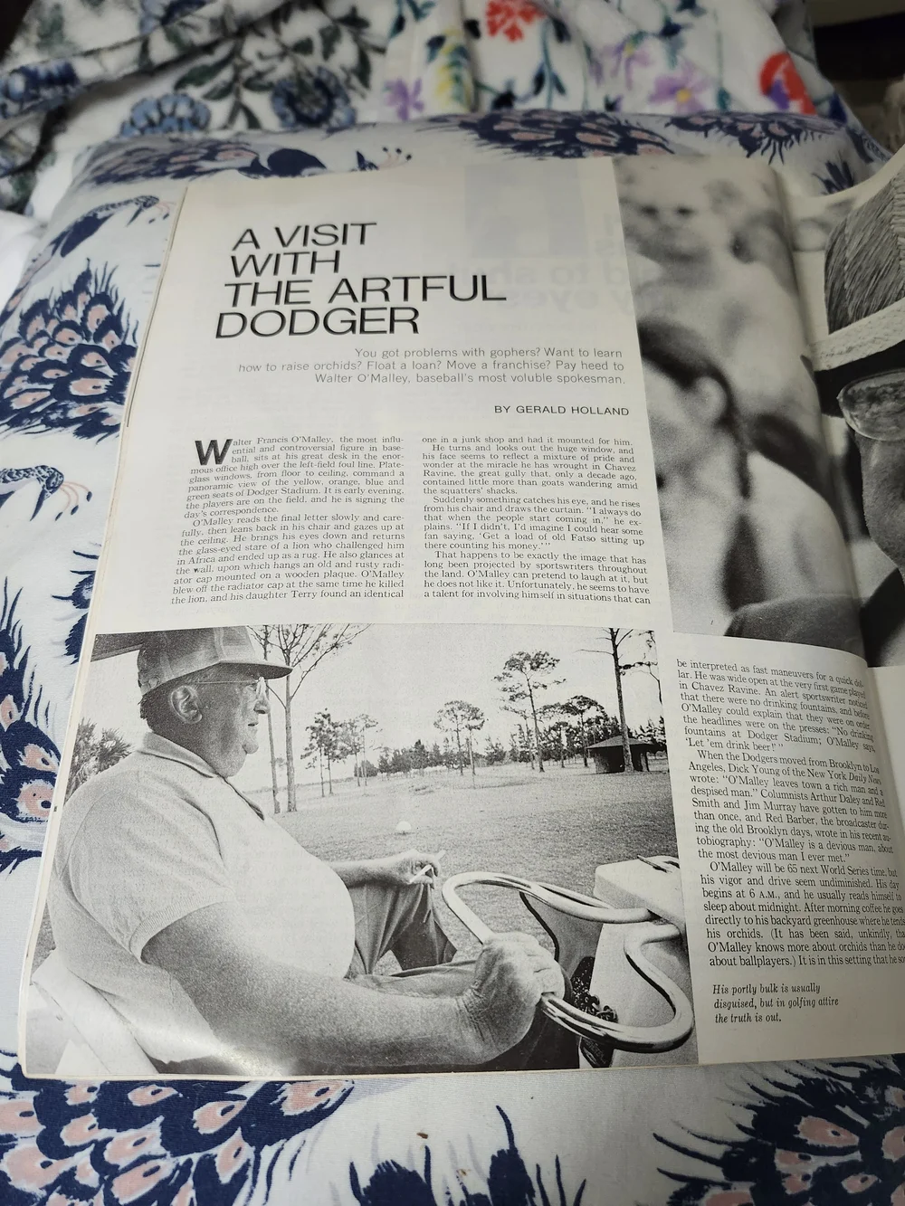 the Saturday Evening Post this vintage